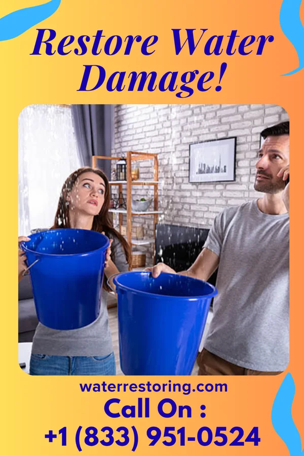 water restoration First Water Damage Masters Collins
